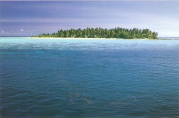 CT--N--979-- MALDIVES  - ALIMATHA - Maldiven