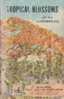 Tropical Blossoms Of The Caribbean - Livre D'occasion - Tuinieren