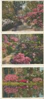 Lot De 9 CPA  - USA - ALABAMA  - Mobile - Bellingrath Gardens . - Mobile