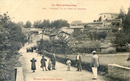 Pibrac - Vue Du Pont Du Courbet - Verfeil