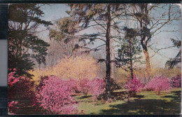 Winterthur - The Winterthur Gardens - Delaware - Andere & Zonder Classificatie