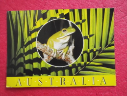 Australia Animal Green Tree Frog 1988 With Nice Stamp - Autres & Non Classés