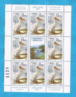 2002 10 WWF  SERBIA SRBIJA CRNA GORA MONTENEGRO  JUGOSLAVIJA JUGOSLAWIEN GESCHUETZTE  PELIKAN  MNH - Other & Unclassified