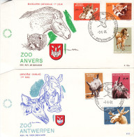 Animaux - Giraffe - Phinocéros - Okapi - Eland - Chevaux - Pandas - Belgique - Lettre FDC De 1961 - Valeur 27,50 € - Girafes