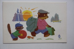 Bear - Racoon - Mushroom - Champignon - Old Postcard 1968 - Mushrooms