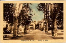 13 - Pelissanne - Avenue De Salon - Pelissanne
