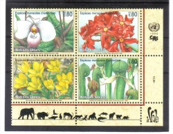 GEO55 VEREINTE NATIONEN 1996 UNO GENF 288/91 VIERERBLOCK ** Postfrisch SIEHE ABBILDUNG - Unused Stamps