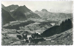 Cpsm Suisse Switzerland CHARMEY Et Vallée De La Jogne Dent De Broc Moleson 1963 N&B - Broc