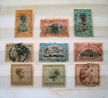 Belgian Congo 1894 - 1923 Palm Tree Landscapes Elephants Hair Dress Basket Maker - Used Stamps