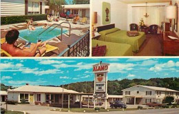 261499-Iowa, Iowa City, Alamo Friendship Inn, Multi-View, Swimming Pool, Bill Wittkowski By Dexter Press No 79881-C - Iowa City