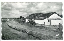 BEAUVOIR SUR MER - Une Bourine - Beauvoir Sur Mer