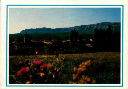 83-NANS LES PINS...VUE GENERALE...CPM - Nans-les-Pins