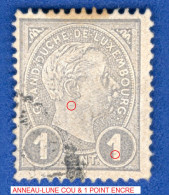 VARIÉTÉS 1895 N° 69 GRAND DUC ADOLPHE 1 ER DE PROFIL OBLITÉRÉ DOS CHARNIÈRE - Variétés & Curiosités