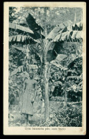 SÃO TOMÉ E PRÍNCIPE - COSTUMES- Uma Bananeira Pão Com Fructo ( Ed. José T. Barboza) Carte Postale - São Tomé Und Príncipe