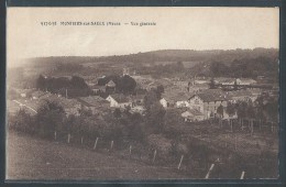 CPA 55 - Montiers-sur-Saulx, Vue Générale - Montiers Sur Saulx