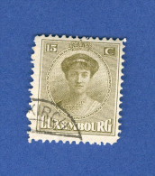 1921-22 N° 124 GRANDE DUCHESSE CHARLOTTE OBLITÉRÉ   DOS CHARNIÈRE 2 SCANNE - Variétés & Curiosités