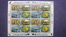 UNO-Genf 245/8 Oo/FDC-cancelled, Gef. Arten, Mexikanischer Präriehund, Jabiru, Blauwal, Goldgelbes Löwenäffchen - Blocs-feuillets