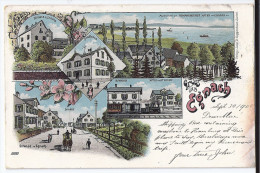 Gruss Aus EGNACH: 5-Bild-Litho Mit Bahnhof, Eisenbahn, Hotel Sternen, Luxburg, Kutsche... 1905 - Egnach