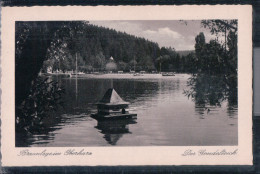 Braunlage - Der Gondelteich - Harz - Braunlage