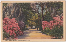 USA, Azaleas And Spanish Moss, Bellingrath Gardens, Mobile, Alabama, Linen Postcard [16635] - Mobile