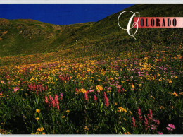 Colorado - Springtime In The Rockies - Rocky Mountains