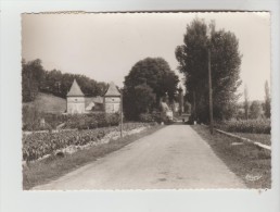 CPSM SALVIAC (Lot) - Avenue De Gourdon - Salviac