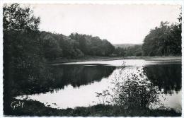 22 GOUAREC (Environs) ++ Un Des Etangs Des Forges Des Salles ++ - Gouarec