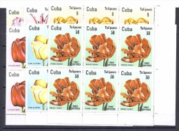 150025339  CUBA. YVERT    Nº  2346/51   **/MNH  (NO GUM) - Neufs