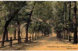 Carte Postale Ancienne De LAMARCHE - Lamarche