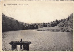 Habay-la-Neuve -  L´Etang Du Pont D'Oye - 1951 - Habay