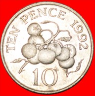 • TOMATO: GUERNSEY ★10 PENCE 1992 SMALL SIZE! LOW START ★ NO RESERVE! - Guernsey