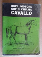 M#0N42 QUEL MOTORE CHE SI CHIAMA CAVALLO Uff.stampa Dell'UNIRE Corriere Dei Piccoli 1962 - Pets