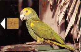 BONAIRE 20 U - 5 FL BIRD YELLOW-SHOULDERED PARROT CHIP  BON- C10 READ DESCRIPTION !! - Antillen (Niederländische)