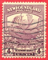 Canada Newfoundland # 118 Mauve -  4 Cents - O F  - Dated  1919 - Beaumont Hamel  - Caribou - 1908-1947