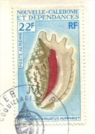 Nouvelle Calédonie 1970-71 - Poste Aérienne YT 113 (o) Sur Fragment - Used Stamps