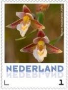 Nederland  2013   Orchideen 1  Moeraswespenorchis  Postfris/mnh/neuf - Ungebraucht