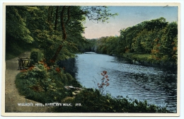 AYR : WALLACE'S HEEL, RIVER AYR WALK - Ayrshire