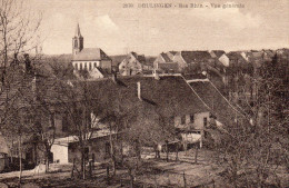 DRULINGEN  -BAS RHIN -VUE GENERALE - Drulingen