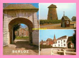 CPM BERLOZ Entrée Du Chateau - Berloz