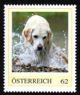 ÖSTERREICH 2012 ** Labrador Retriever - PM Personalized Stamp MNH - Timbres Personnalisés