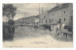 14038 - Scènes Vaudoises  Le Départ Du Troupeau Vaches Le Brassus - Le Chenit