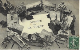 SOUVENIR De LA FORÊT - ( Carte De Présentation )  Ed. Sous Le T P - La Forêt-Fouesnant