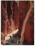 (95) Australia - Standley Chasm - The Red Centre