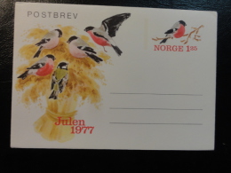 Postal Stationery Julen 1977 Bird Oiseau Pajaro  Norway - Interi Postali