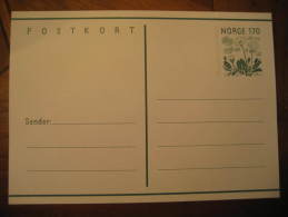 POSTKORT 170 Flora Postal Stationery Card Norway Norvege - Interi Postali