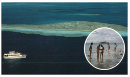 (75) Australia - QLD - Whitsundays Outer Reef At Low Tide - Mackay / Whitsundays