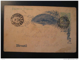 S. Carlo 1898 To Sao Paulo Bilhete Postal Stationery Card Brazil Brasil - Covers & Documents