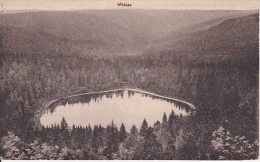 AK Wildsee - Kurhaus Ruhestein - Feldpost - 1918 (21827) - Baiersbronn