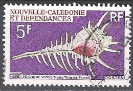 Nouvelle-Calédonie 1969 Yvert 359 O Cote (2015) 1.60 Euro Coquillage Murex Peigne De Vénus Cachet Rond - Usados