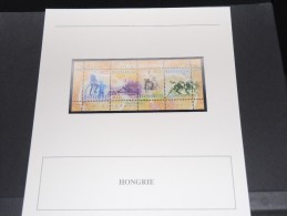 HONGRIE-  Bloc Luxe Avec Texte Explicatif - Belle Qualité - À Voir -  N° 11616 - Blocks & Sheetlets